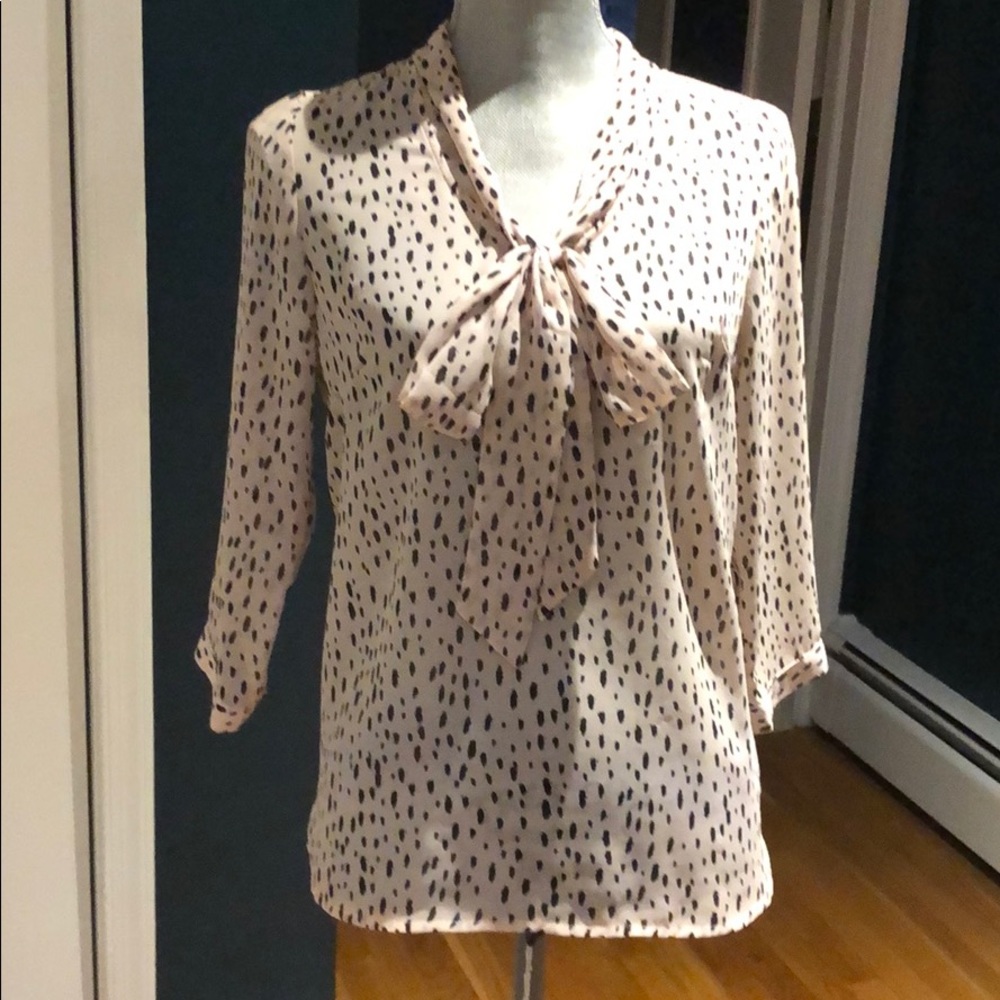 Blush and Black Tie Blouse